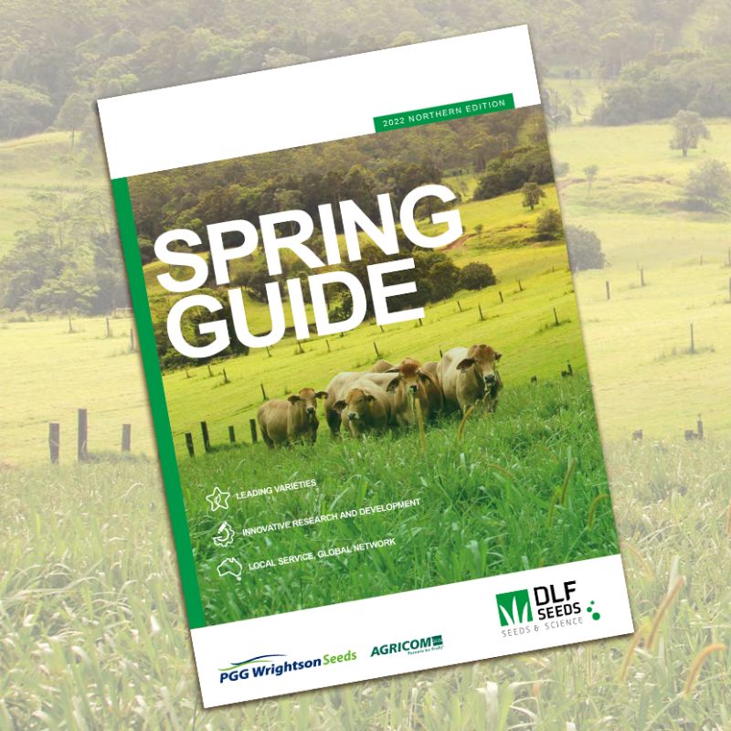 Our Northern Spring Guide features product information, management advise and trial data about our leading tropical and subtropical varieties, brassica, herb and lucerne lucerne varieties, Envirogro seed treatment and more.