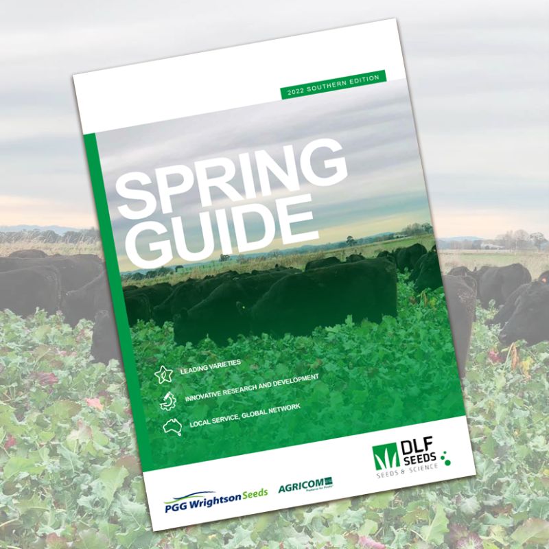 Our Southern Spring Guide features product information, management advise and trial data about our leading brassica, herb and lucerne varieties, mixes, grasses for over sowing and more. 