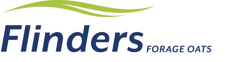 Flinders forage oat | DLF Seeds | DLF Seeds Australia