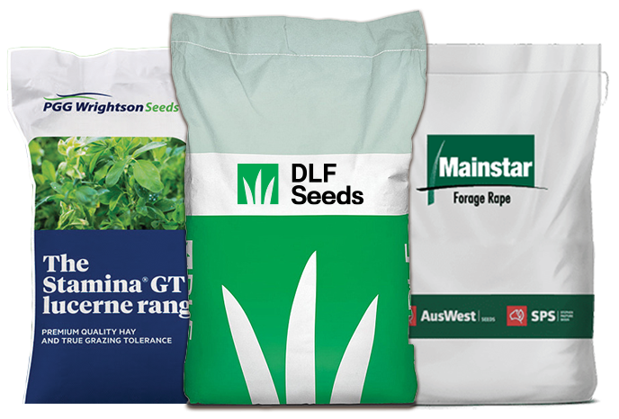 DLF Seeds